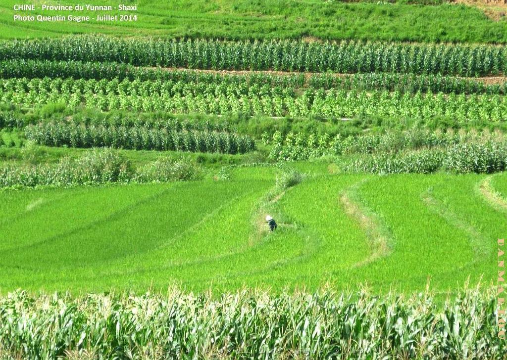 182 - Shaxi.JPG